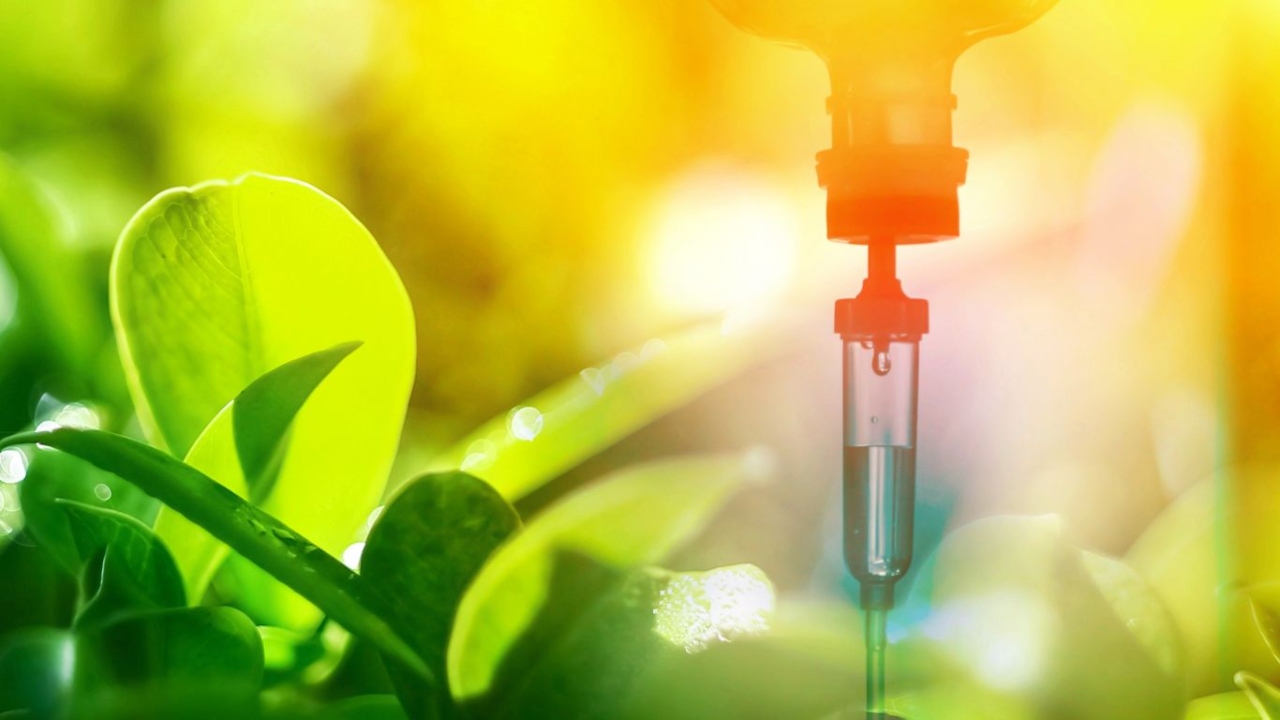 How Home IV Therapy Works_ What to Expect from Your First Infusion